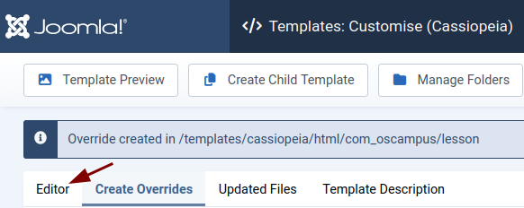 the editor tab