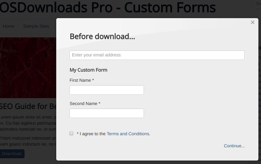 basic form with two custom fields