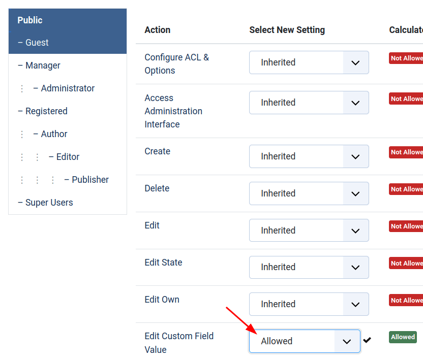set edit custom field value to allowed
