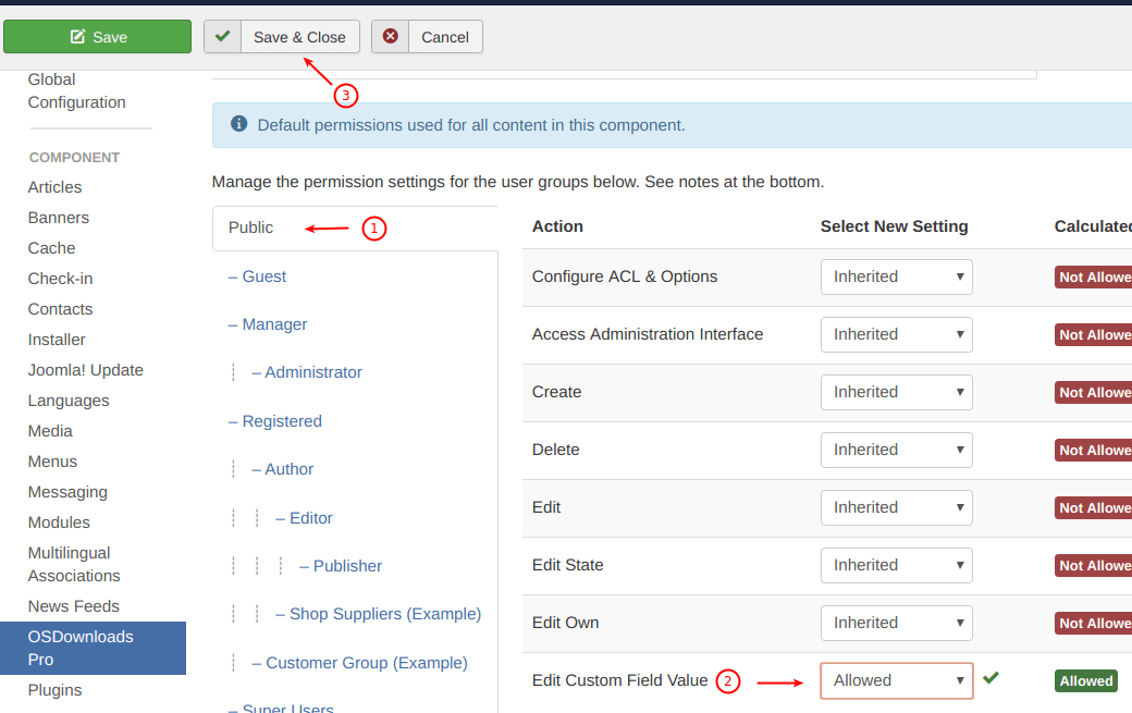 set edit custom field value to allowed