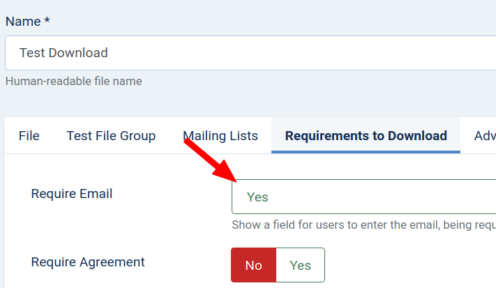 set the require email parameter to yes