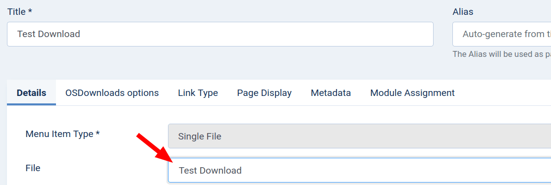 file inside the file field