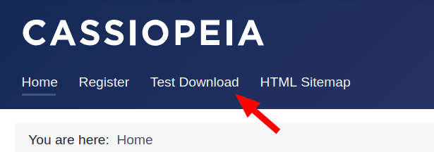 the test download button