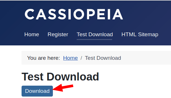 12 the file download front end page with the download button