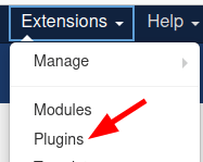 go to extensions plugins