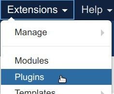 go to extensions plugins