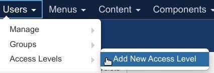 go to users access levels add new access level