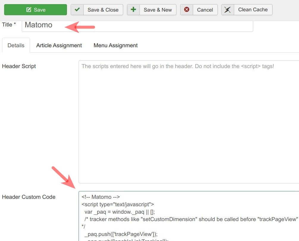 paste matomo js code