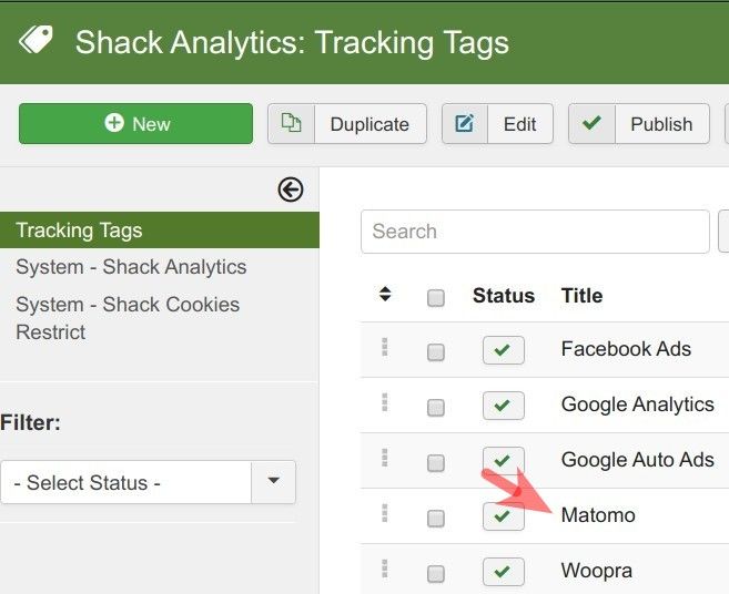 your newly created tracking tag listed