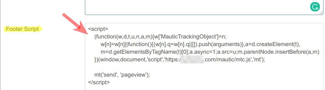 paste the mautic tracking code into the footer script box