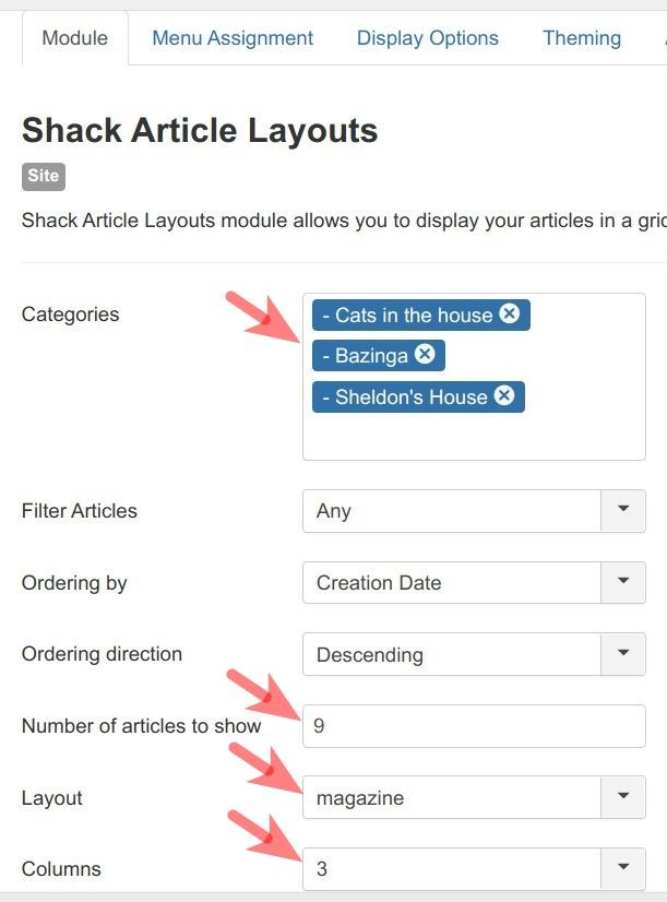 the module settings for the magazine layout