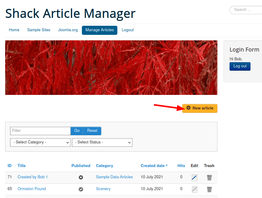 the new article button