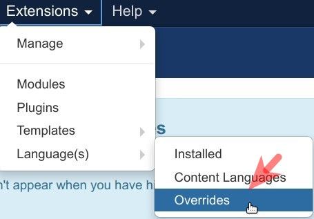 go to extensions languages overrides