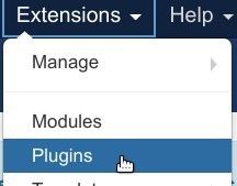 go to extensions plugins