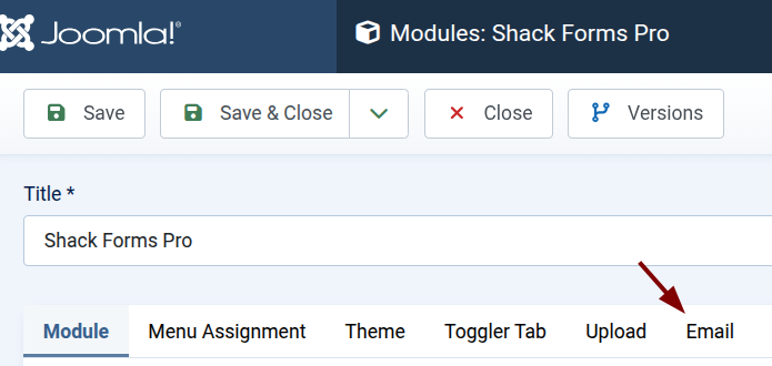 the Email tab of the Shack Forms Pro module