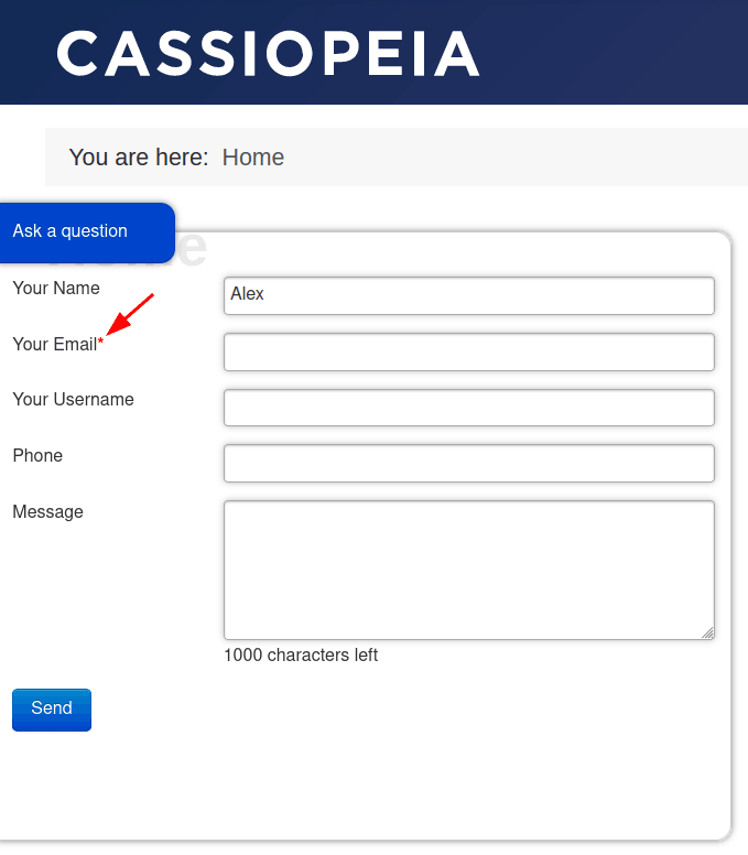 red astarisks for the required fields