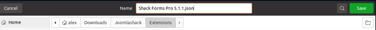 save the json file