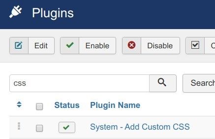 find the add custom css plugin