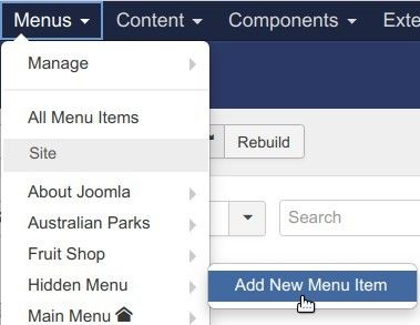 go to menus hidden menu add new menu item