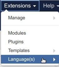 go to extensions languages