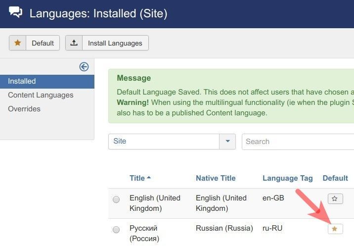 assign your new language as default language for site