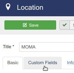 click the custom fields tab