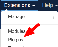 go to extensions plugins