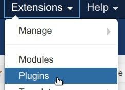 go to extesions plugins