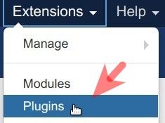 go to extensions plugins