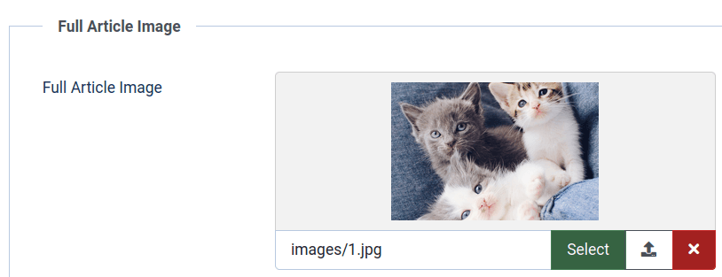 a full article image added