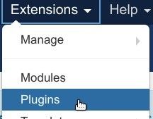 Go to plugin manager