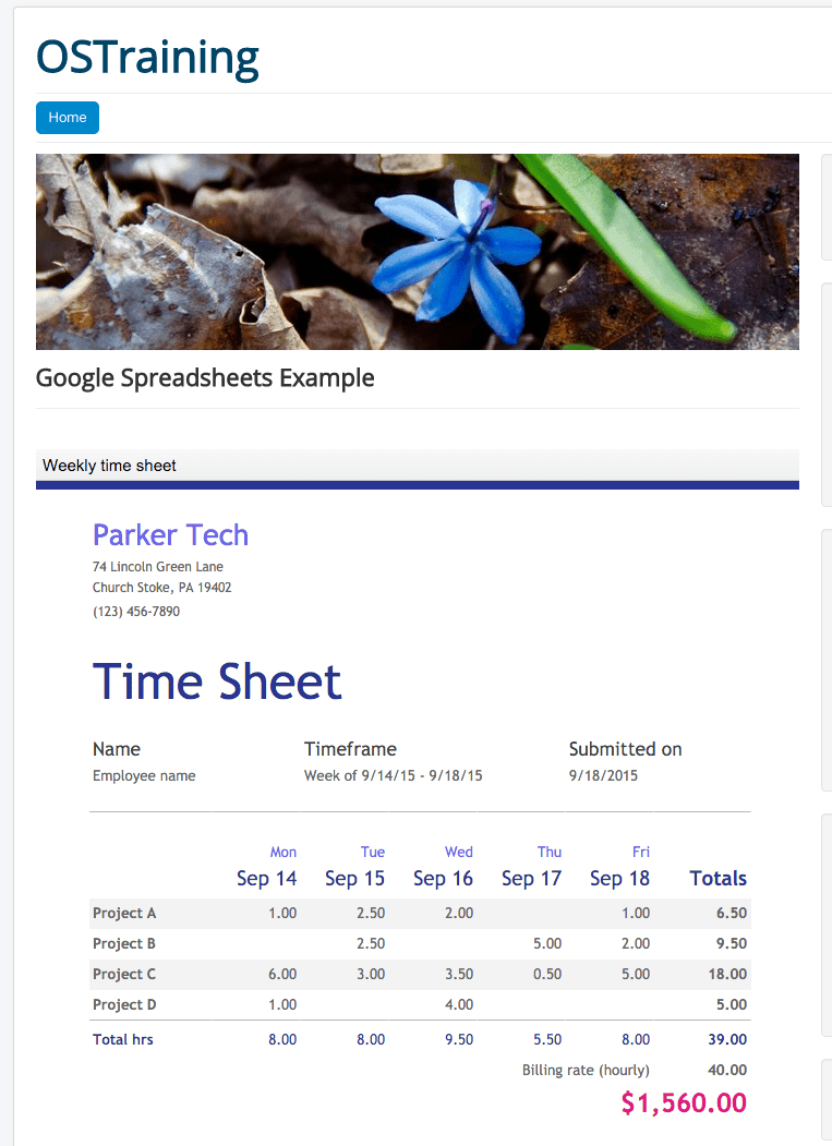 Showing Google sheets inside Joomla