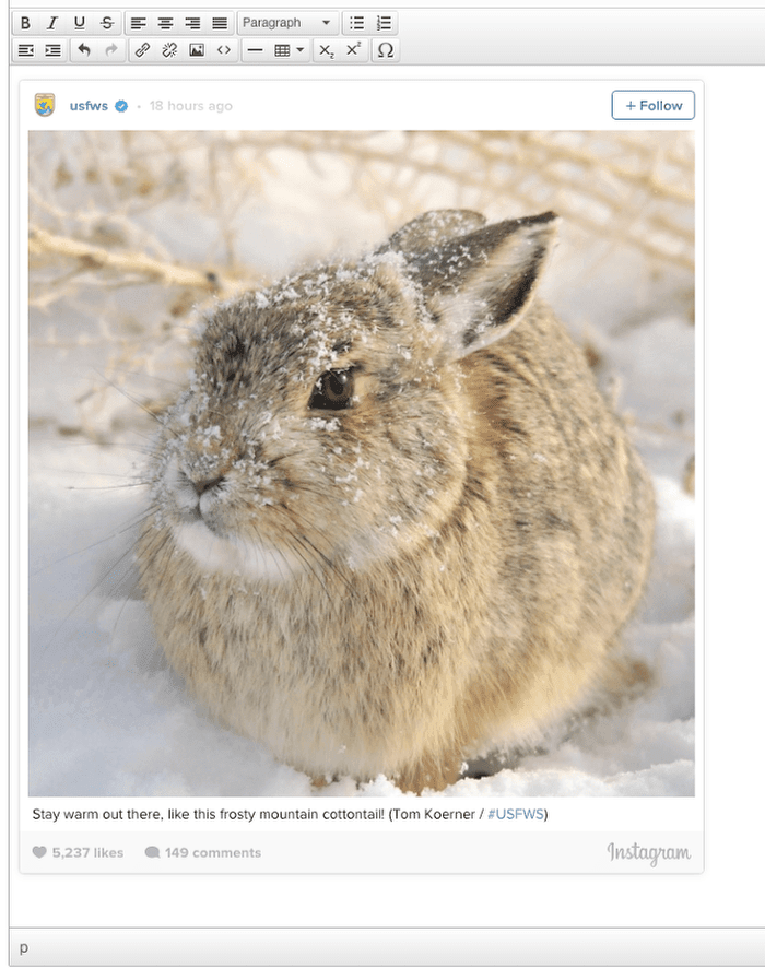 Previewing an Instagram Photo or Video in Joomla