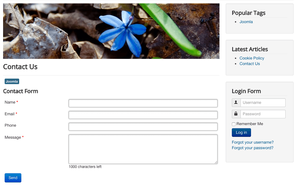 whole site Joomla contact form