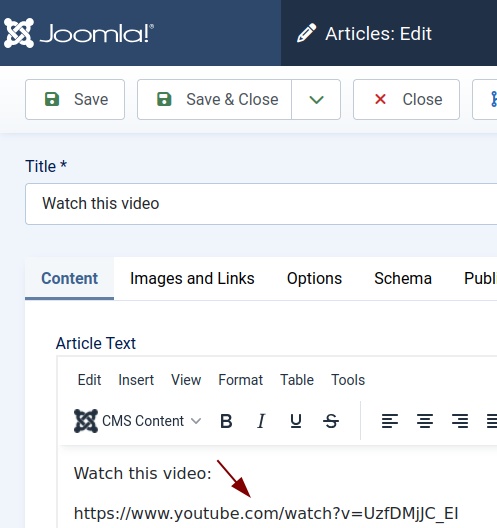 Paste the URL into your Joomla article