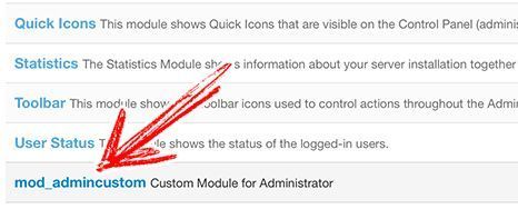 Custom Module for the Joomla Backend