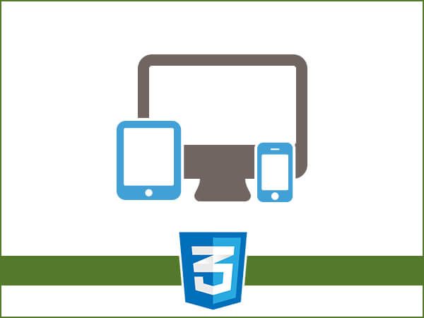 How to Build Responsive Websites