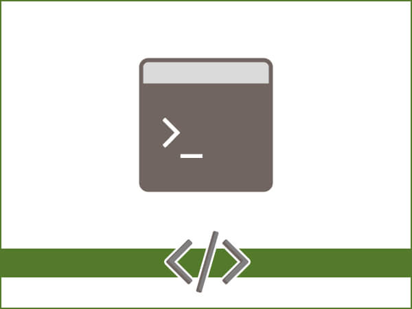 Introduction to the Command Line