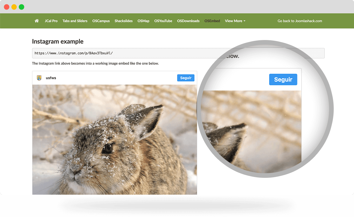 OSEmbed Joomla embeds for Instagram