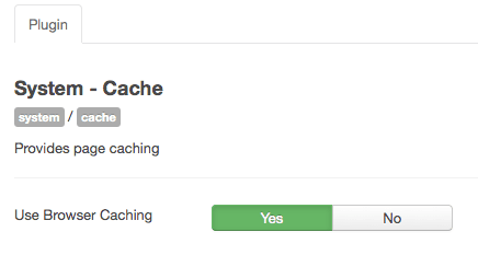 The Joomla browser cache