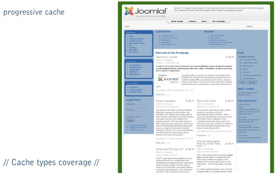 Joomla cache type coverage