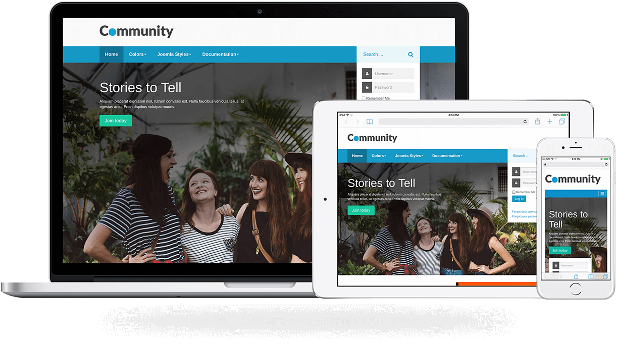 Community, A social and business Joomla template