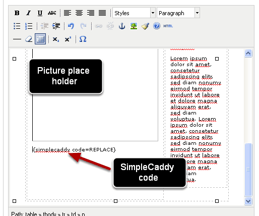 tutuploads7._Add_the_SimpleCaddy_code..png